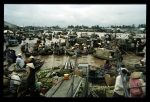 Mekong Delta