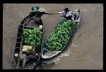 Mekong Delta